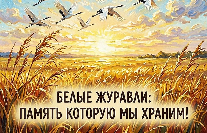 22 октября в России отмечают День белых журавлей. 
