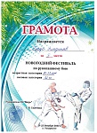 Новогодний фестиваль по рукопашному бою