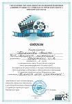 Маликова Рената. Муниципальный этап Всероссийского конкурса юных кинематографов "Десятая муза"